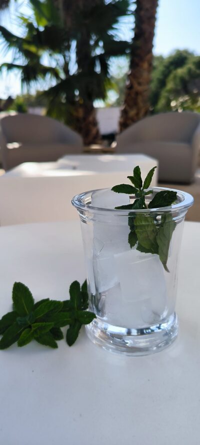 Bicchiere in vetro mint julep